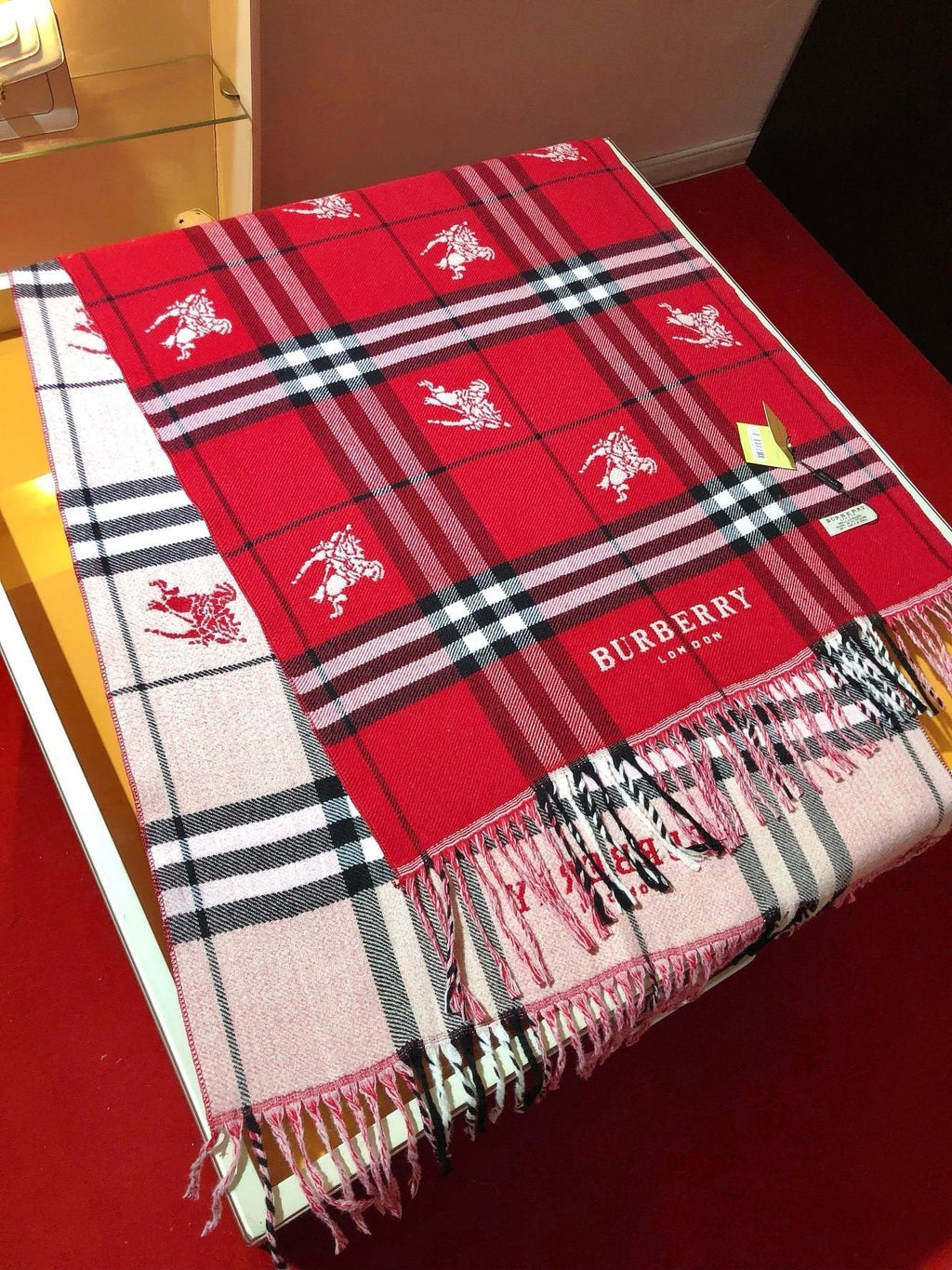 Burberry Embroidered Plaid Fringe Scarf