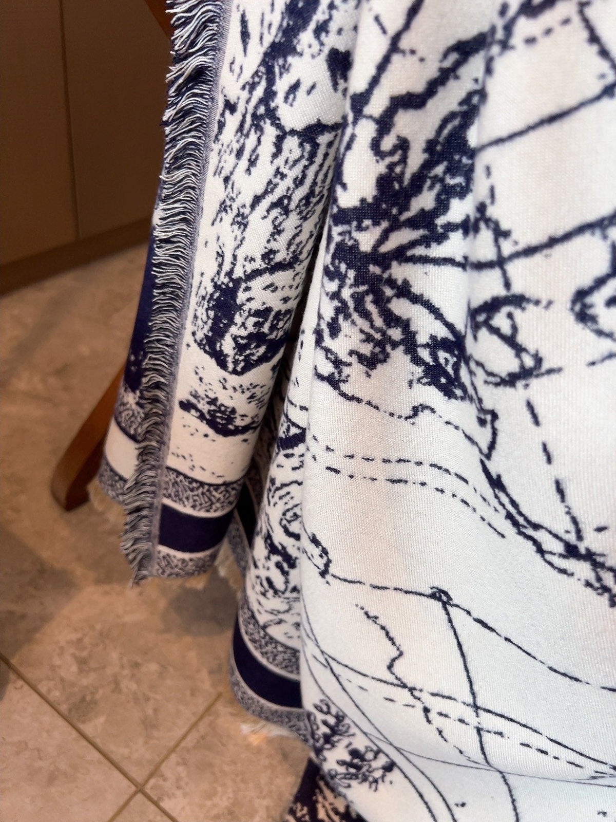Dior Toile Print Fringed Shawl